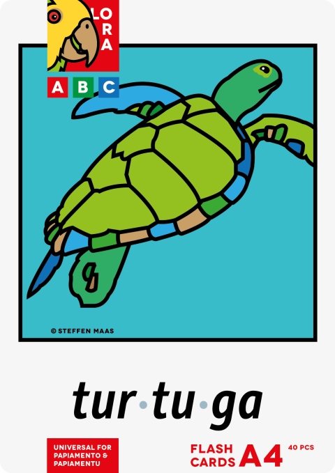 Flashcards large